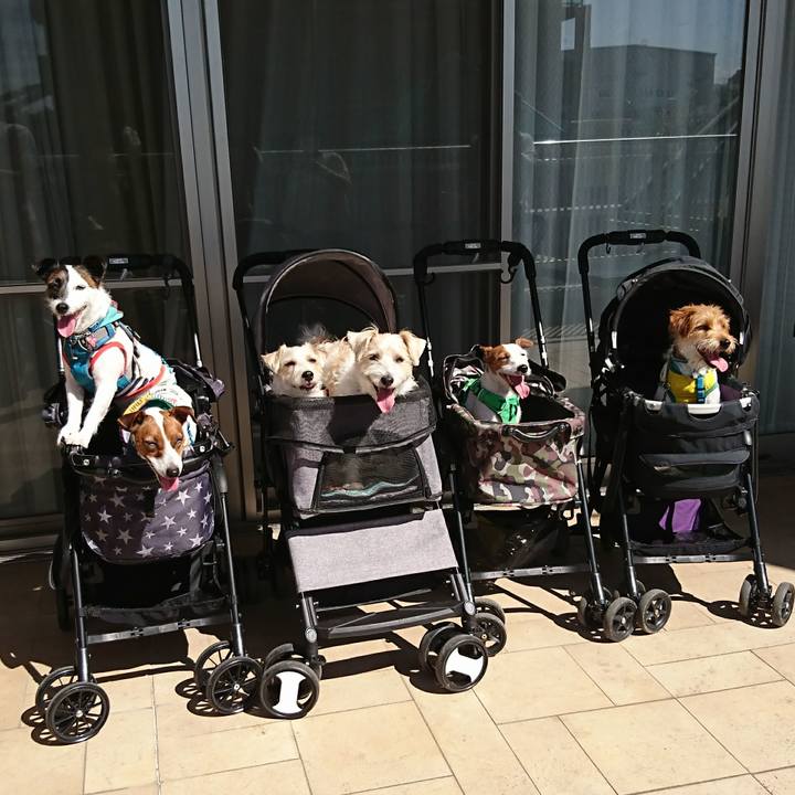 8317f5af 5dbd 432a b36d 9c9a3ef8e689 1593681977174