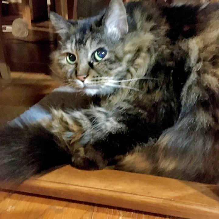 8317f653 ac31 4e61 badd 67f4643cc3d3 1583236687676