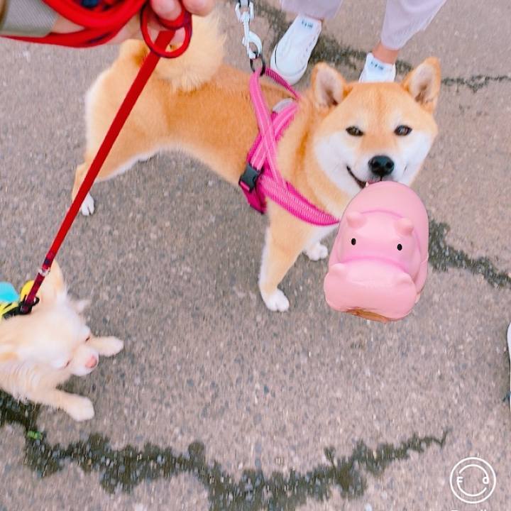 83181631 0da7 4883 8e1b 60408e571cb2 1624531790635