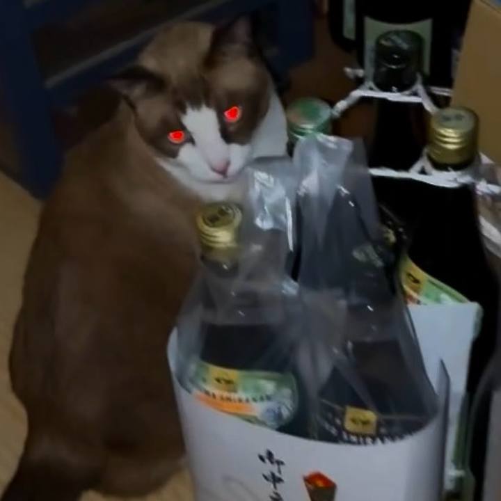 83183c79 bb65 453c adf9 a21ce11d6ab0 1758622319698