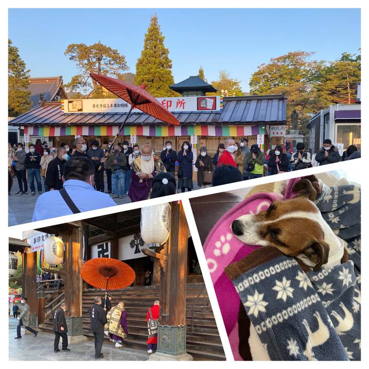 831897ca 259b 4098 8ac9 13a4ed3437e1 1651555358154