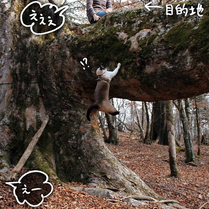 8318a0c2 521d 4943 8a1f 7a4a1fdb8c36 1571831042161