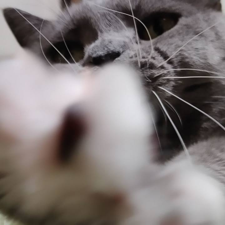 8318a82d 3019 45ff 9fc3 ca095cc13c89 1669466540865