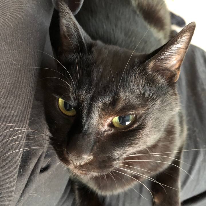 8318b6c9 2b85 458d 9532 fcf14d039f68 1678829506785