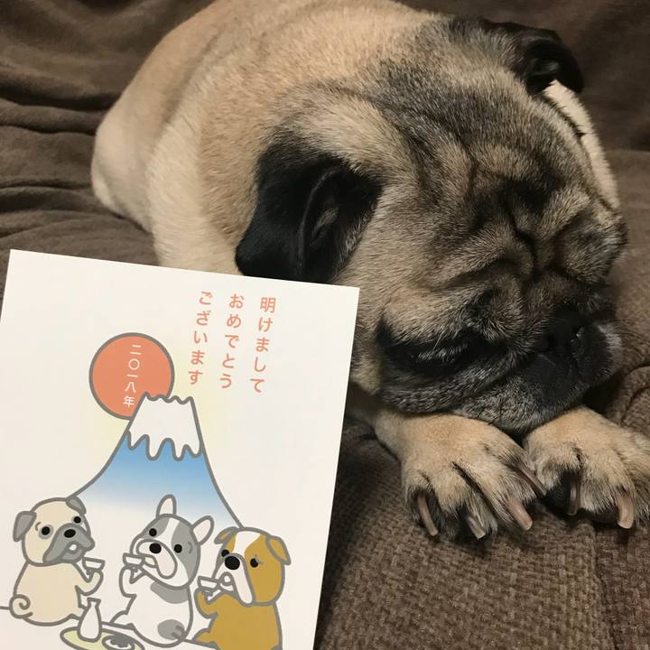 831900b1 9255 4e2c 97f6 c2d485a2952b 1514767184667