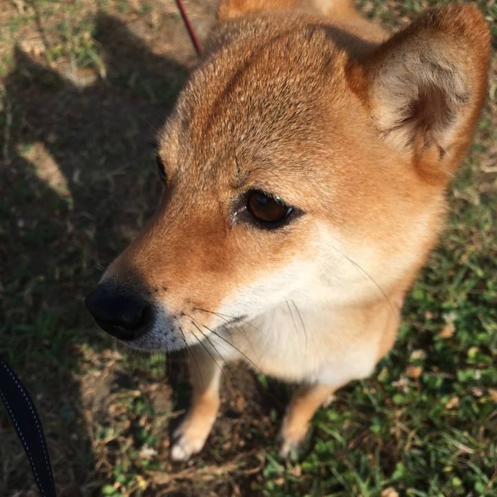 8319278c 5273 4350 860c e829d90193de 1532642750760