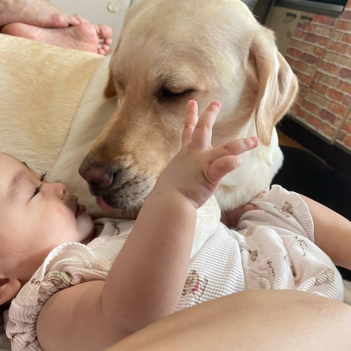 8319286a f60f 4417 a03a d8a525f2a957 1728283783120