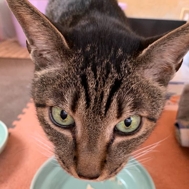 83194059 510b 46e5 8ce8 aaa6d10bc3ec 1554426042667