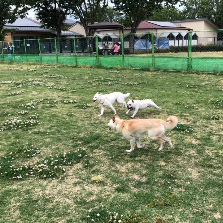 83194290 b9a3 4100 b15c ce148d65490e 1558250014209