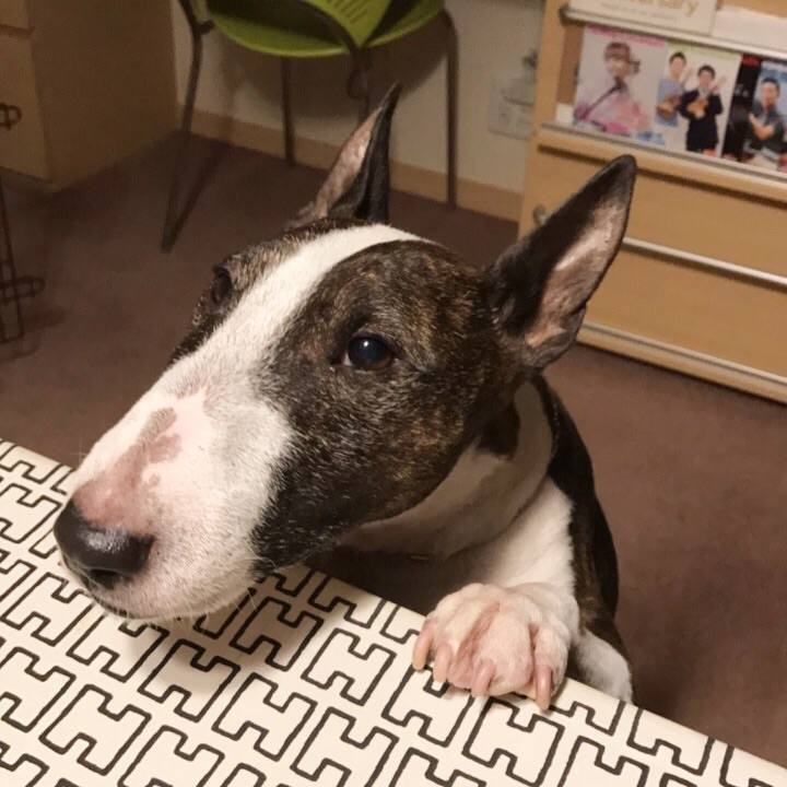 831948ef 7275 4346 909a 3c10416fa9b1 1509361873593