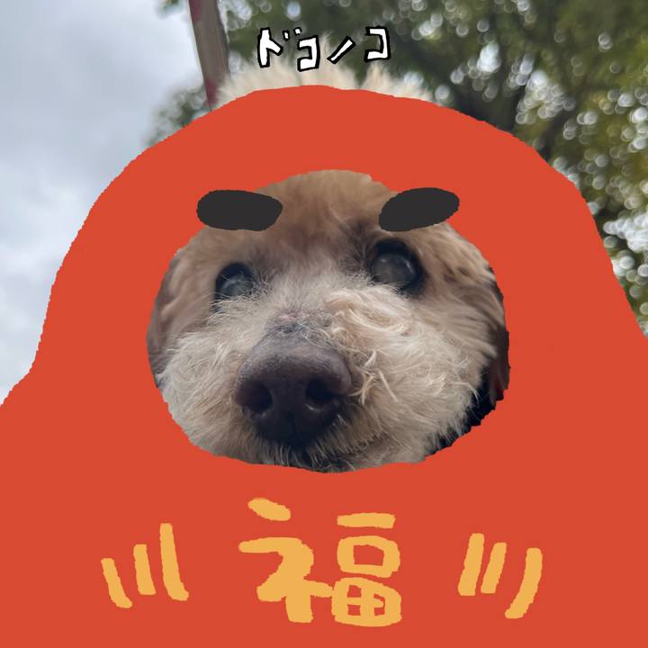 83197cbc 6ef8 462c bd2f 10123c801184 1771882462626