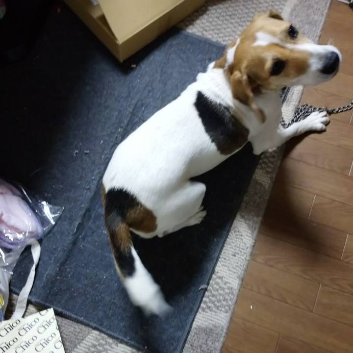 83198214 0c05 4439 9213 68a188c243ca 1605625172637