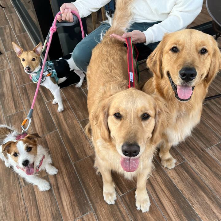 83199242 2bec 4f40 95f3 fa95859925e4 1774782229842