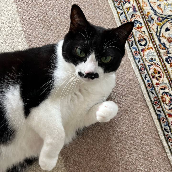 8319a96e 2ad3 4d6b 806e e50588e909ed 1767757262254