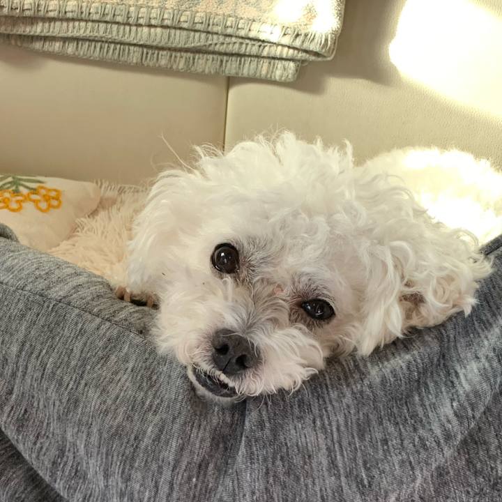 8319c0ad 2c59 47c7 bee8 631b3dff0082 1675004488767