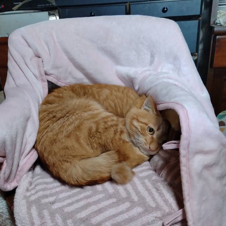 8319c440 c5d5 40ba 8d67 1f2e7c33be64 1667864161760