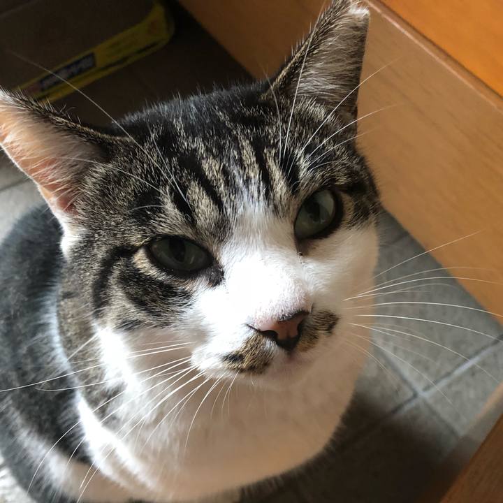 8319c99d bc73 4643 9a03 15a0c984712f 1551165529594