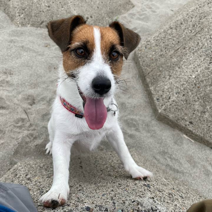 8319e1d1 0cb3 4b4b b179 e76acc953396 1662160245379