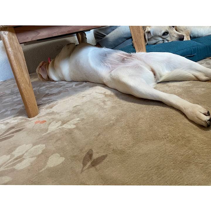 8319e5f0 d944 450b b669 bf76c0786553 1635665936819