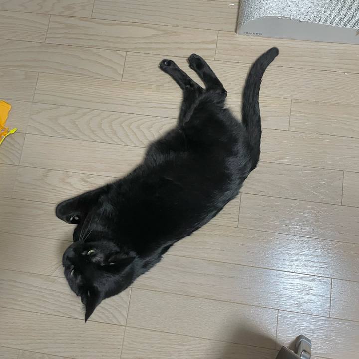 8319ee75 8787 4850 8951 37db10b956c6 1709555764845