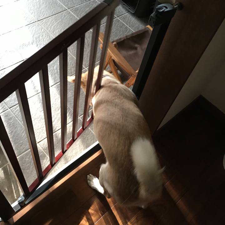 8319fb7b 169e 44d0 a9db c9ed34343f15 1512797418406