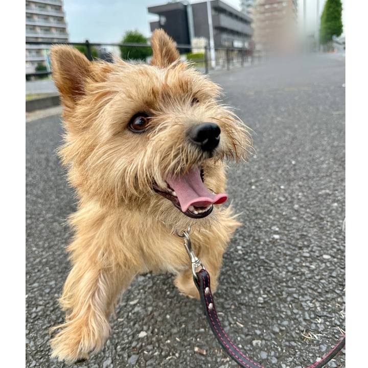 831a2381 8916 4947 84da 0b75456c6cd9 1751783644926