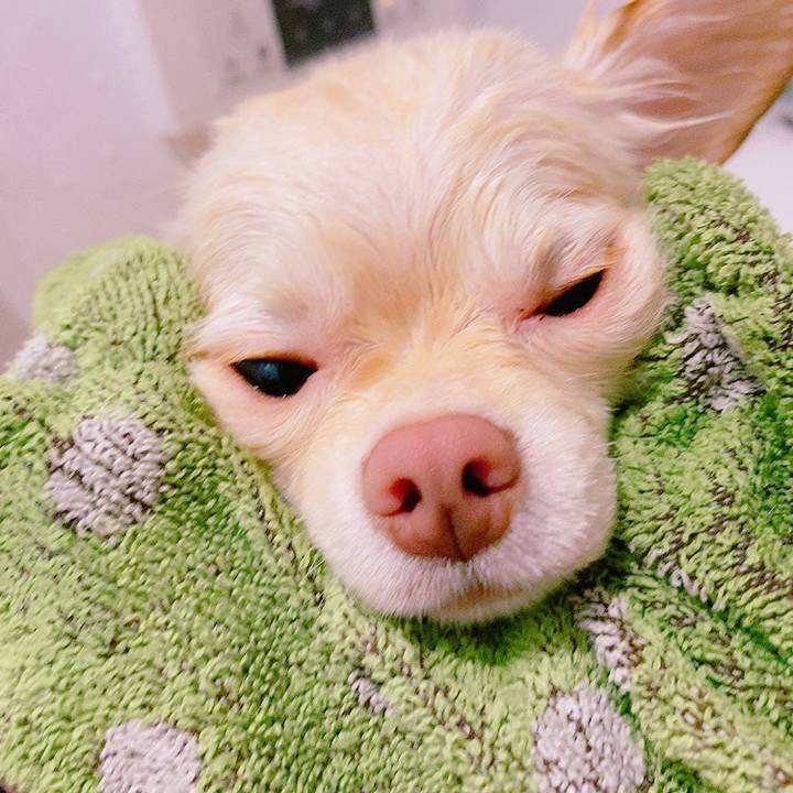 831a631d 25b7 47c4 abfd 76d6684979eb 1629170643903