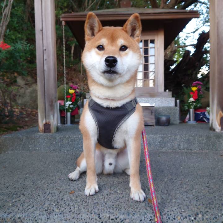 831a7a53 cde4 47cf 9153 79c9a8de48d9 1767507178481