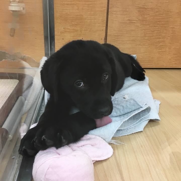 831a7b17 5e62 4caa b38b edce74a3a817 1519019920027