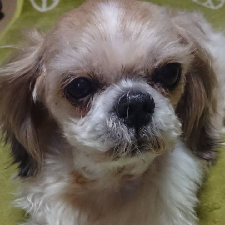 831abf87 cb95 45c1 a3ad 5e34ecf19e15 1640868091134