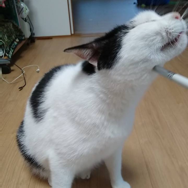 831ae0f6 b4a4 4749 8269 42e7f478c4f8 1561850508449