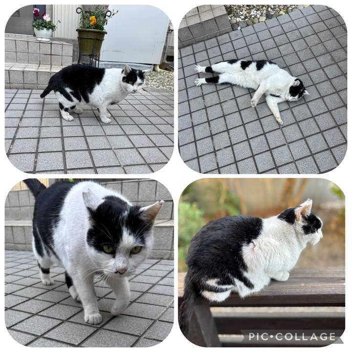 831b0d62 113d 452e 8cb5 0615f6b91ef1 1768788512375