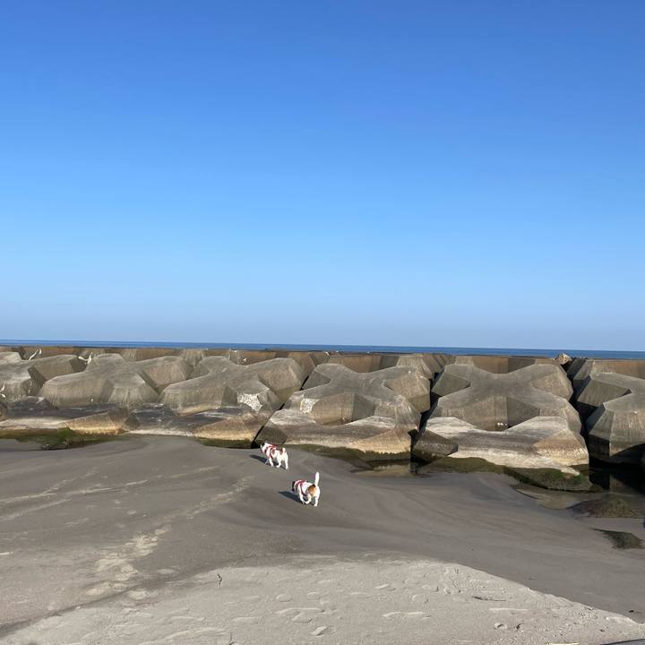 831b3037 b39f 47b6 8f98 461fbe25e24a 1680047693541