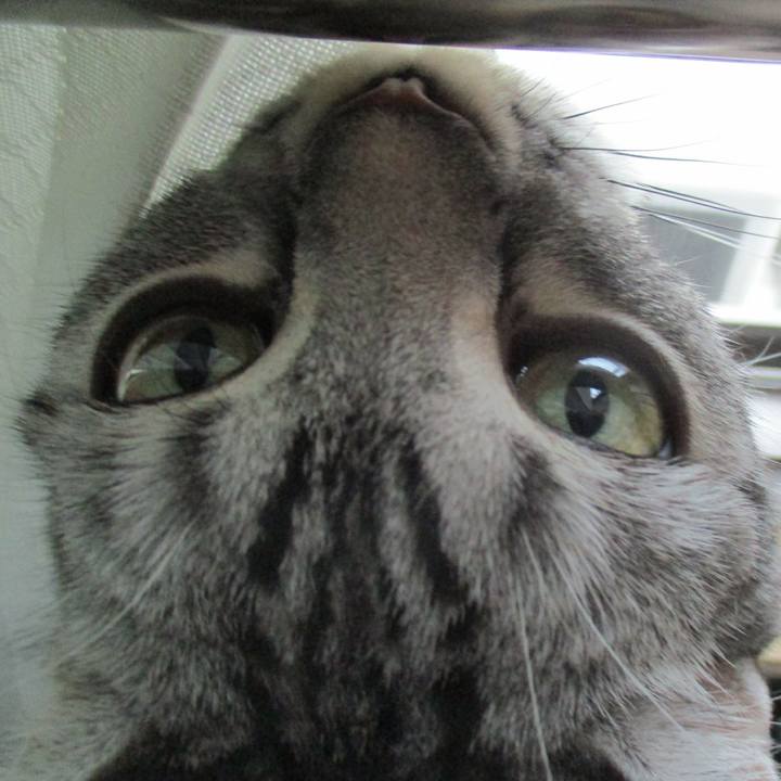 831b435b b7ca 4dc9 bd3f 961a35fc3ac5 1569659481921