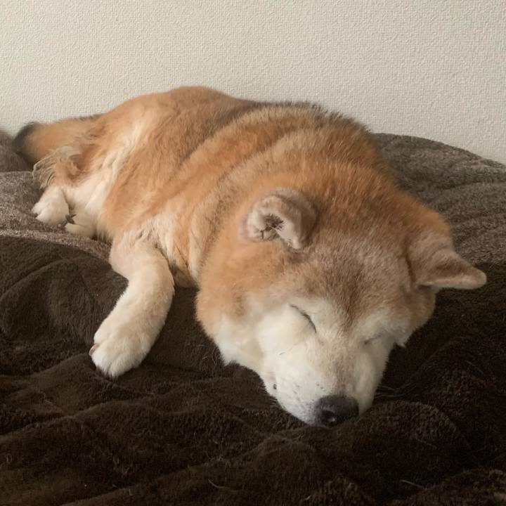 831b5090 c976 4112 b2b3 3fd01c5f5bbd 1687052500990