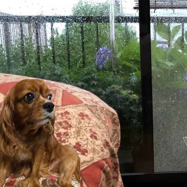 831b572b 608a 427d b30a 25ef0cf7c325 1594420239439