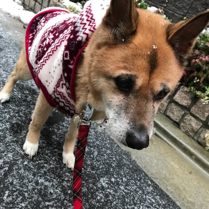 831b820c 19cc 4164 8757 f35e57b87006 1517567087524