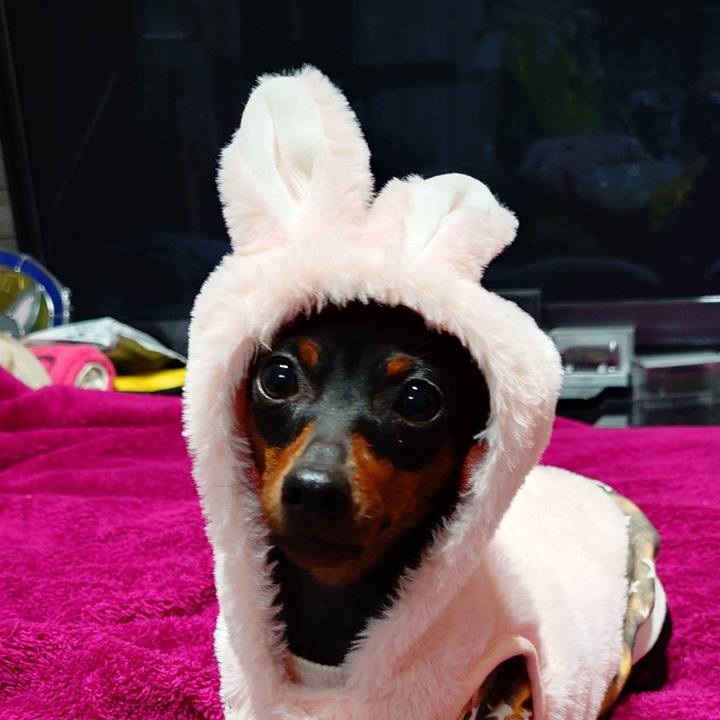 831b8a56 0c0b 43b2 bd9a 9a702d639222 1759744870570