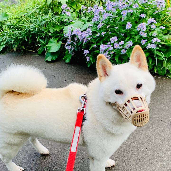 831bb37c 9fd4 4a04 8a9c 606dbb1e5aed 1570486597051