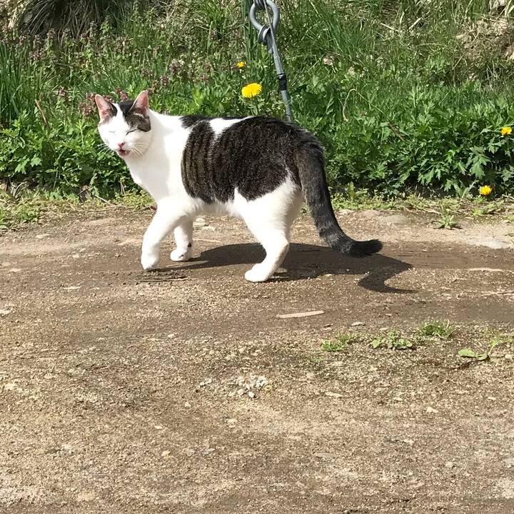 831bc0ad e7da 4831 91bd a6d21ef1bc9a 1524806698414