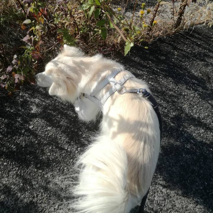 831beb31 8af9 439c b10a ab8eac68d595 1511575374060