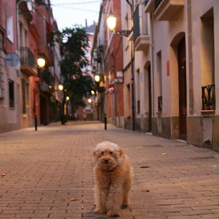 831bef68 f84d 4d16 9d40 80205fed6c16 1589986688203