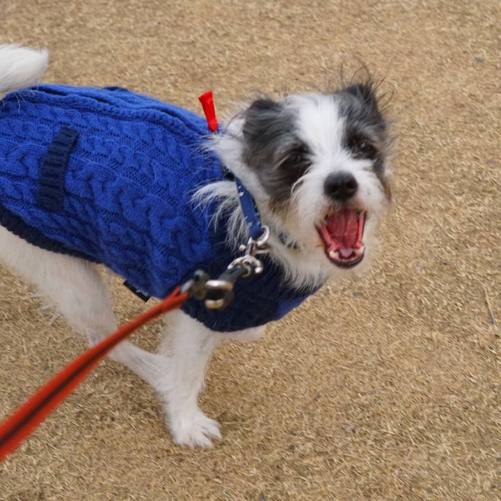 831c0a21 55ba 4619 83ad a591077ec8b7 1549634687039