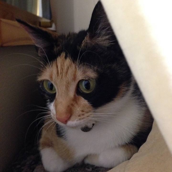 831c5160 7726 47e6 8479 6cafec10130e 1523509909222