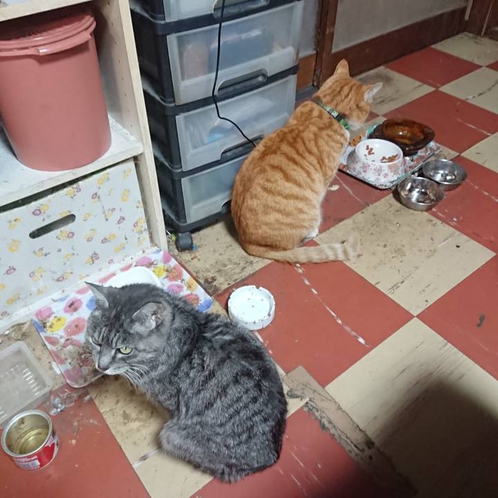 831c529c 5cf3 46df af88 d50eae665446 1583049426535