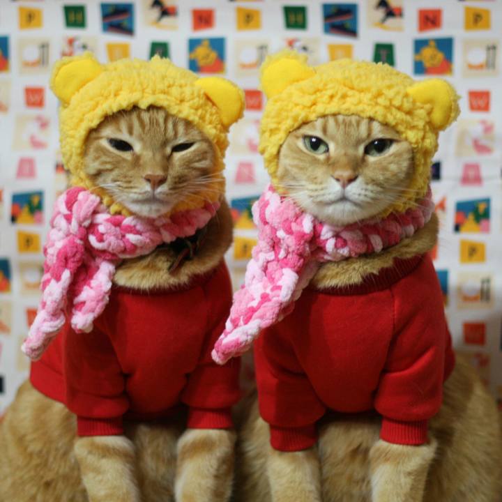 831c68f8 64d1 41a3 8ff9 031f4be91b95 1517222127518