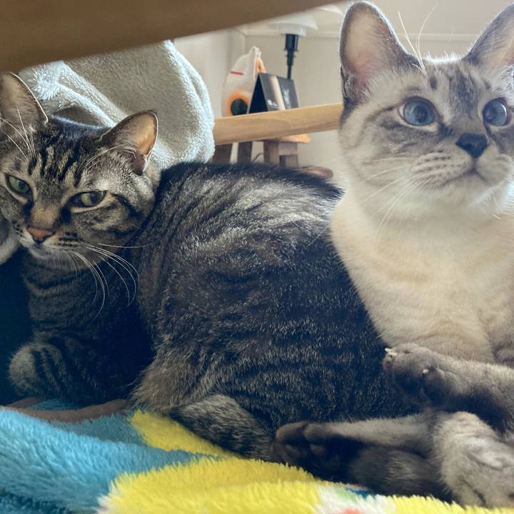 831c6f8b 6064 49b0 9cb8 a2a4b1253127 1666834498290