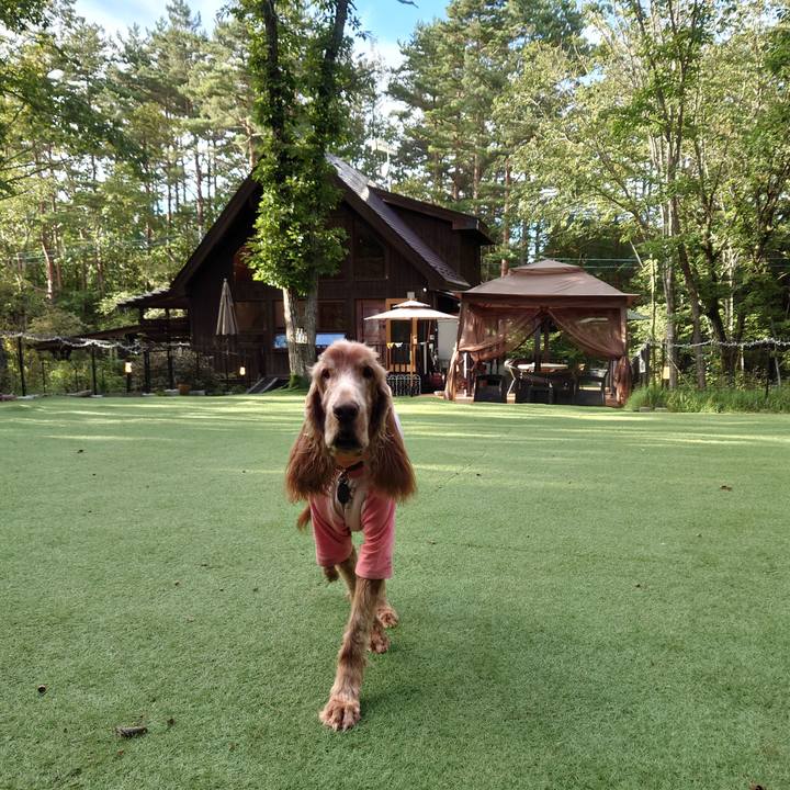 831cc0e8 8fb5 4dee 9421 36c5c796f722 1727000319510