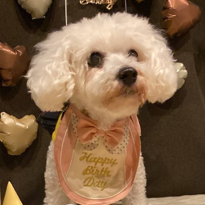 831ce7ac c4a1 4265 8d93 6d006b4850b7 1725515628741