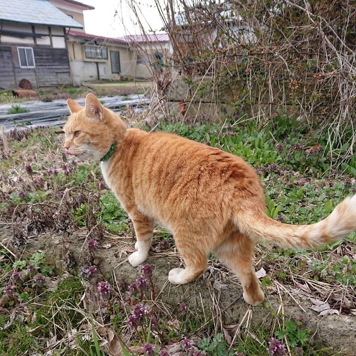 831cebf0 c993 4924 96a7 6c84d44b24c3 1586057587286